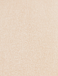 5pk 10 Denier Tights