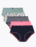 5pk Cotton Lycra&reg; Midi Knickers