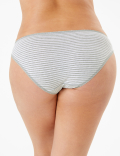 5 Pack Polar Bear Design Bikini Knickers