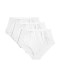3pk Wildblooms Full Briefs