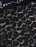3pk Lace & Mesh Bikini Knickers