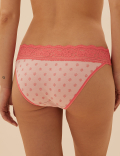 5pk Cotton Lycra® & Lace Bikini Briefs