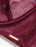Lexington Lace & Mesh Wired Full Cup Bra
