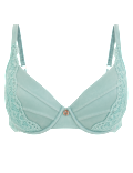 Lace Wired Full Cup Bra With Silk A-E