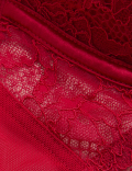 Lace Wired Full Cup Bra With Silk A-E