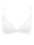 Swiss Designed Embroidered Plunge Bra A-E