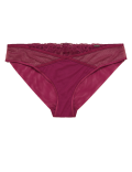 Nouveau Embroidered Brazilian Knickers