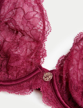 Claret Silk & Lace Wired Plunge Bra A-E