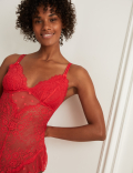 Linea Lace Body