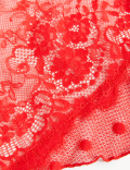 Linea Lace Body