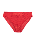 Linea High Waisted High Leg Knickers