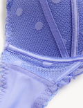 Linea Lace Wired Plunge Bra A-E