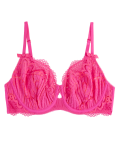 Nova Lace Wired Full Cup Bra