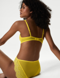 Lova Embroidered Wired Plunge Bra