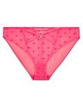 Embroidered Mesh High Leg Knickers