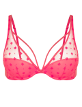 Embroidered Mesh Underwired Plunge Bra