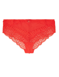 Scallop Lace High Waist Brazilian Knickers
