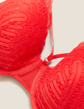 Scallop Lace Padded Full Cup Bra A-E