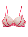 Lucia Heart Embroidery Wired Plunge Bra A-E