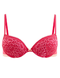 Louisa Lace Plunge Bra