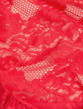 Meia Lace Body