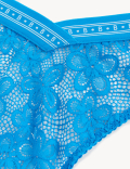 Cleo Lace Miami Knickers