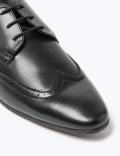Derby Brogue Shoes