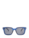 D Frame Polarised Sunglasses