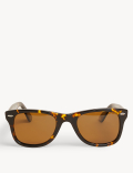 Polarised Sunglasses