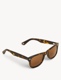 Polarised Sunglasses