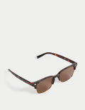 D Frame Polarised Sunglasses