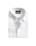 Regular Fit Non Iron Pure Cotton Twill Shirt