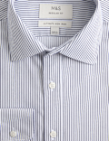 Regular Fit Ultimate Non Iron Cotton Striped Shirt