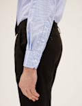 Regular Fit  Pure Cotton Regular