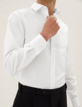 Regular Fit  Pure Cotton Regular