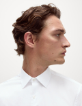 Regular Fit Easy Iron Pure Cotton Shirt