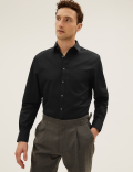 3 Pack Regular Fit Long Sleeve Shirt