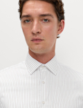 Regular Fit Pure Cotton Striped Luxury Shirt