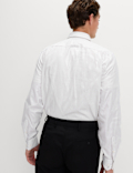 Regular Fit Pure Cotton Striped Luxury Shirt