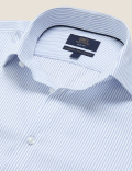 Slim Fit Pure Cotton Twill Striped Shirt