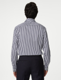 Regular Fit Luxury Cotton Bold Stripe Shirt