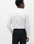Regular Fit Pure Cotton Striped Shirt