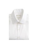 Regular Fit Pure Cotton Shirt