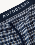 3pk Assorted Pattern Trunks