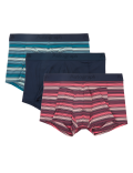 3 Pack Microskin Stripe Hipsters
