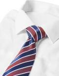 Striped Tie