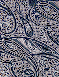 2 Pack Slim Woven Check & Paisley Ties