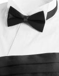 Bow Tie & Cummerbund Set