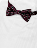 Geometric Bow Tie