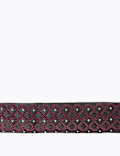 Geometric Bow Tie